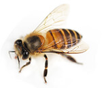 The Great Outdoor Display Ideas Summer Look Book Outdoor Bee